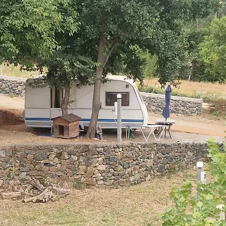 Principata *